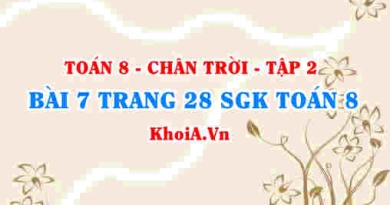 Bài 7 trang 28 Toán 8 Chân trời sáng tạo Tập 2